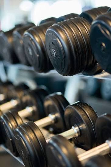 Gymnasium & Wellness